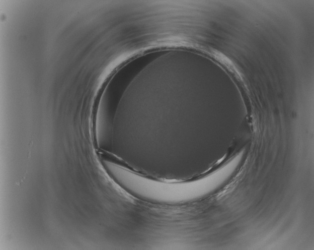 X0000066531334200603311810