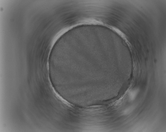 X0000066531335200603311810