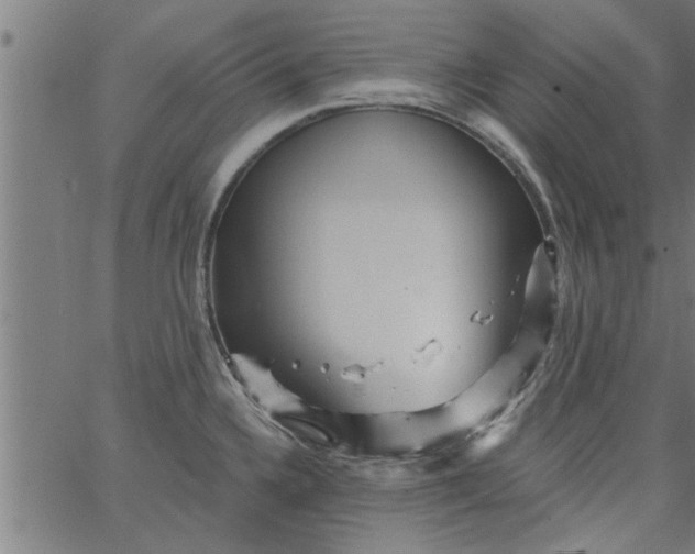 X0000066531336200603311810