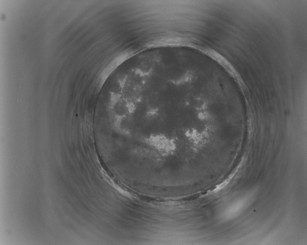 X0000066531337200603311810