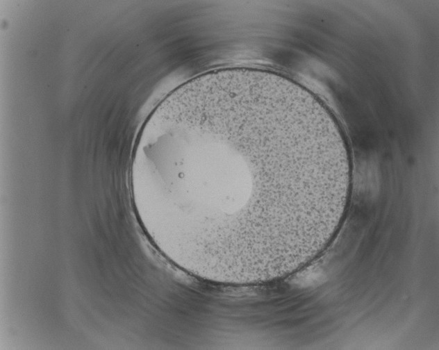 X0000066531338200603311810