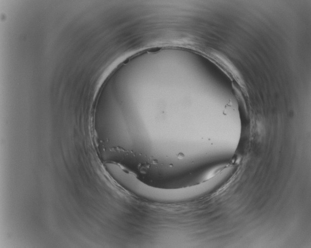 X0000066531340200603311810