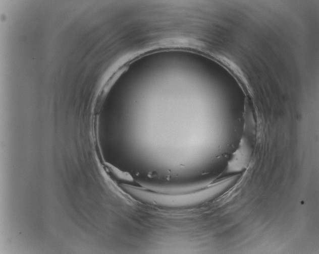 X0000066531342200603311810