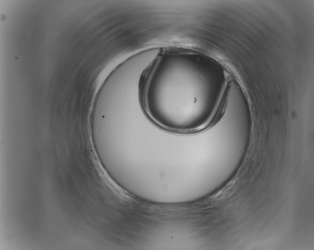 X0000066531344200603311810