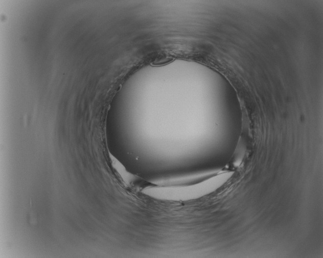 X0000066531345200603311810