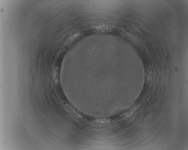 X0000066531346200603311810