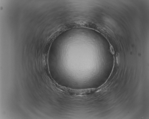 X0000066531347200603311810