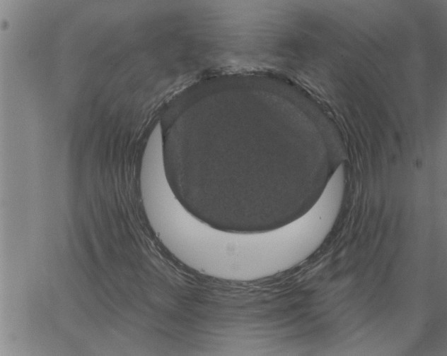 X0000066531348200603311809