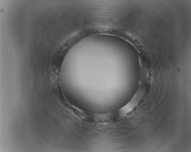 X0000066531349200603311809