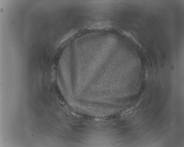 X0000066531350200603311809