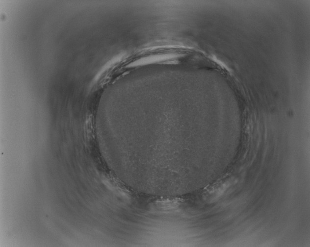 X0000066531351200603311809