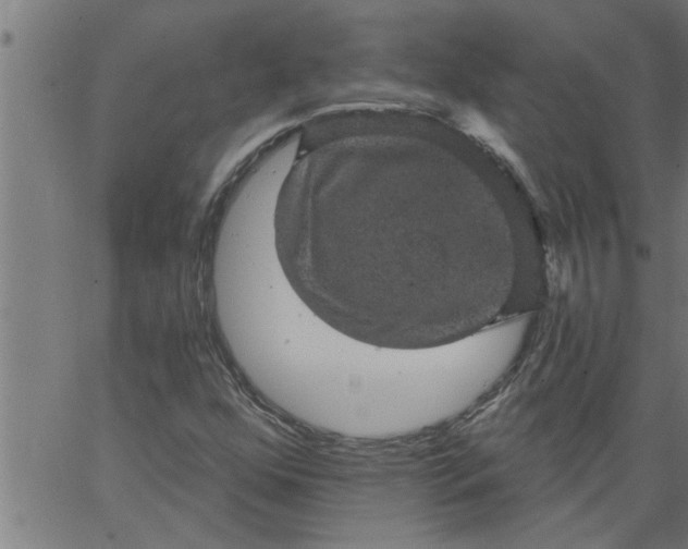 X0000066531352200603311809