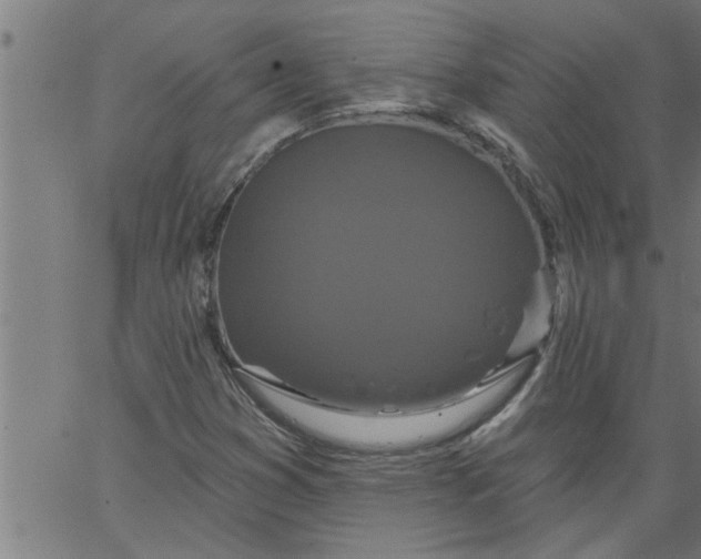 X0000066531353200603311809