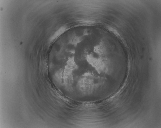 X0000066531354200603311809