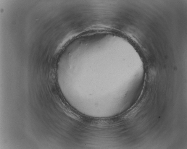 X0000066531355200603311809