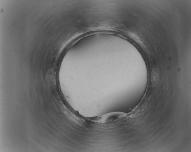 X0000066531356200603311809