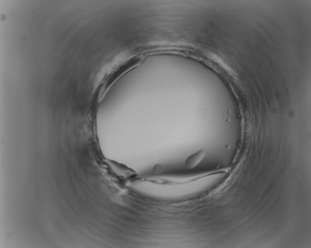 X0000066531357200603311809