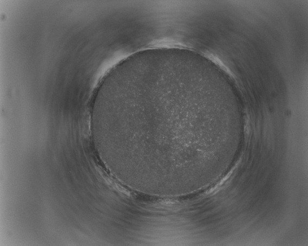 X0000066531358200603311809