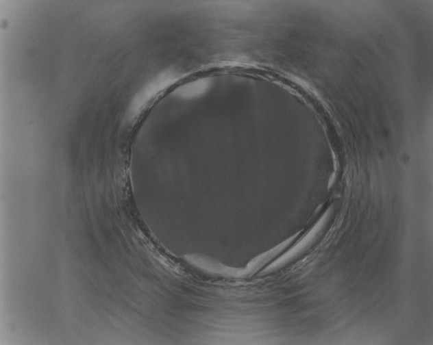 X0000066531359200603311809