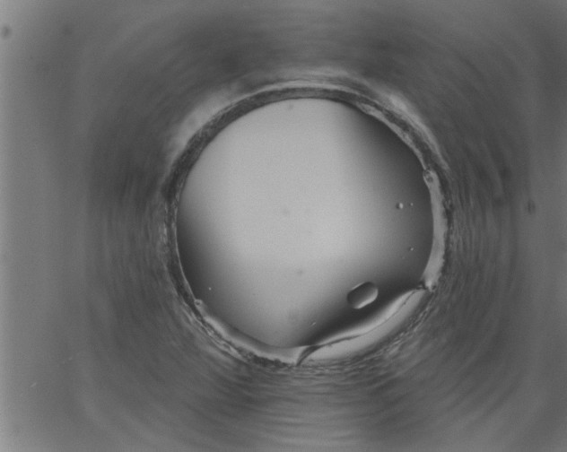 X0000066531360200603311809