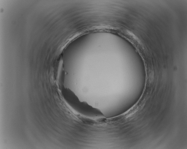 X0000066531361200603311809