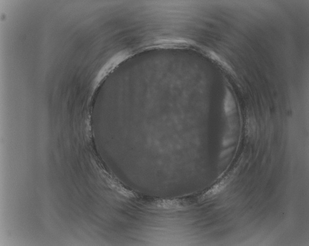 X0000066531362200603311809