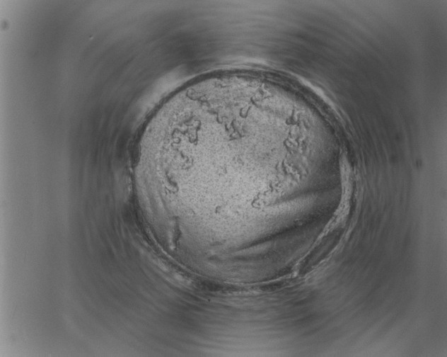 X0000066531363200603311809