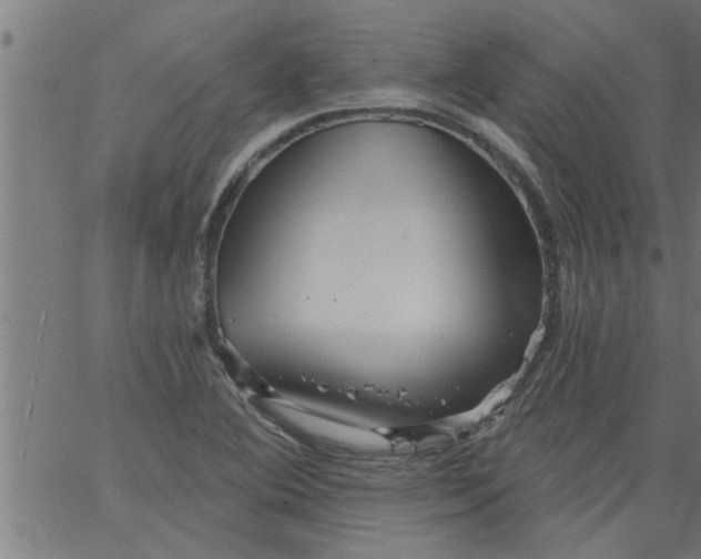 X0000066531364200603311809