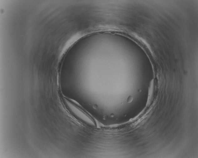 X0000066531365200603311809