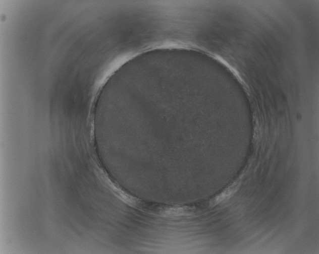 X0000066531367200603311809