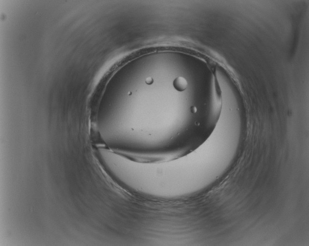 X0000066531368200603311809