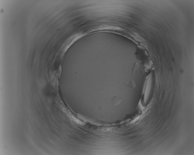 X0000066531369200603311809