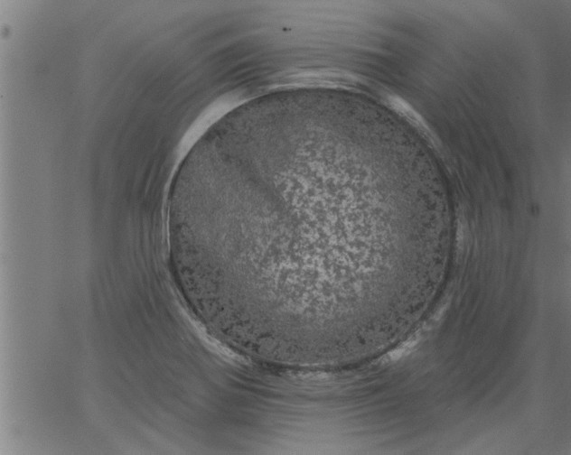 X0000066531370200603311809