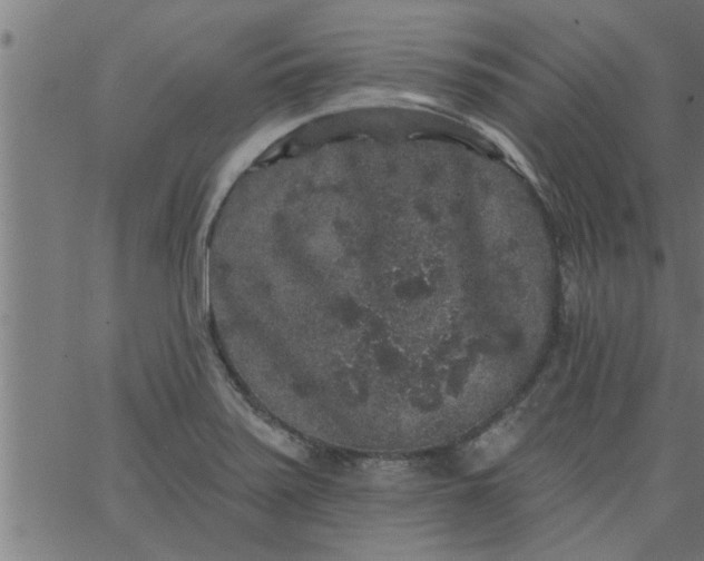 X0000066531371200603311809