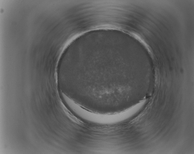 X0000066531372200603311809