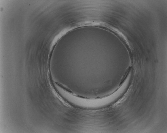 X0000066531373200603311809