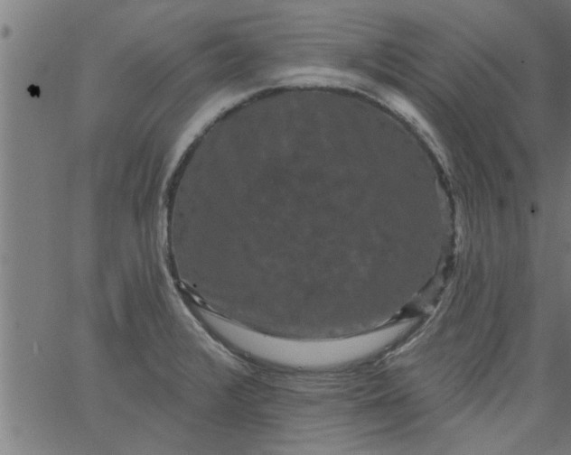 X0000066531376200603311809