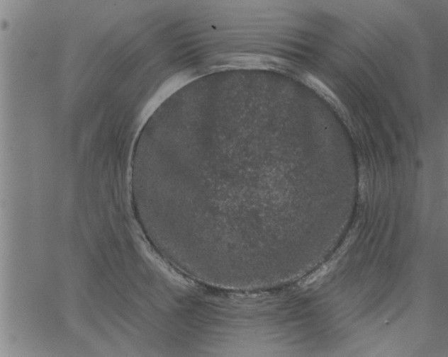 X0000066531378200603311809