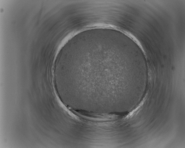 X0000066531381200603311809