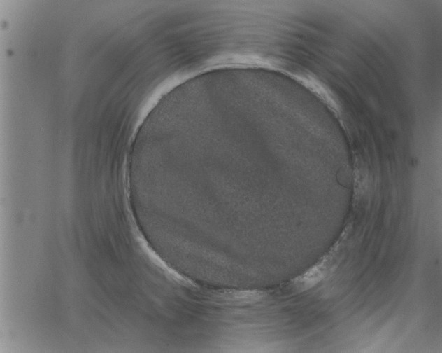 X0000066531382200603311809