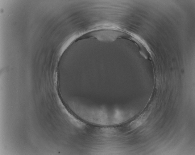 X0000066531383200603311809