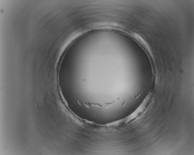 X0000066531384200603311809