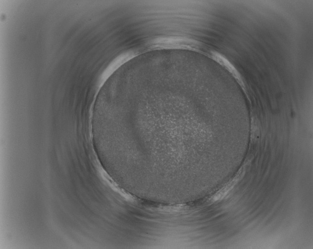 X0000066531386200603311809