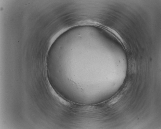 X0000066531387200603311809