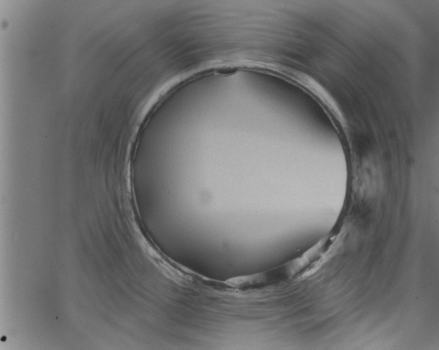 X0000066531388200603311809