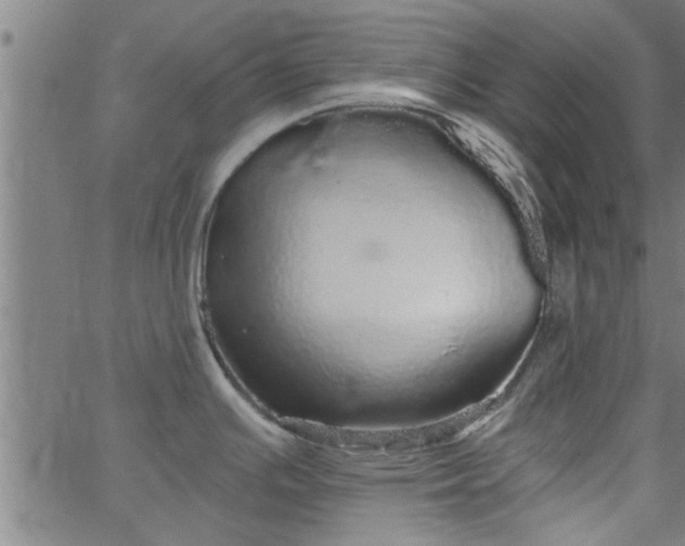 X0000066531391200603311809