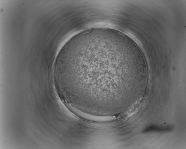 X0000066531392200603311809