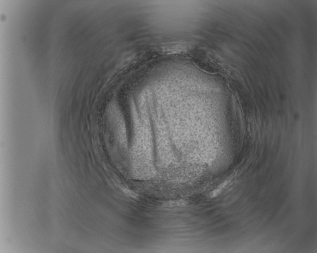 X0000066531393200603311808