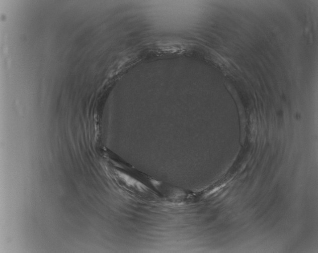 X0000066531394200603311808