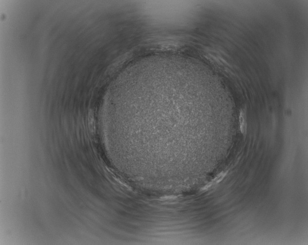 X0000066531395200603311808